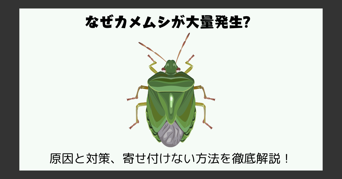 なぜカメムシが大量発生？原因と対策、寄せ付けない方法を徹底解説！